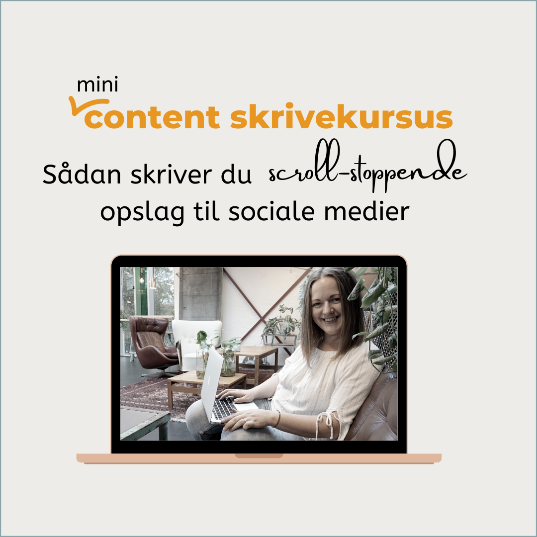 mini content skrivekursus
